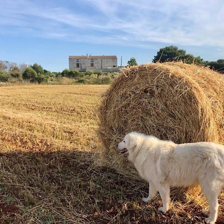 Agriturismo La Palascia Masseria Agreste โอตรันโต ภายนอก รูปภาพ