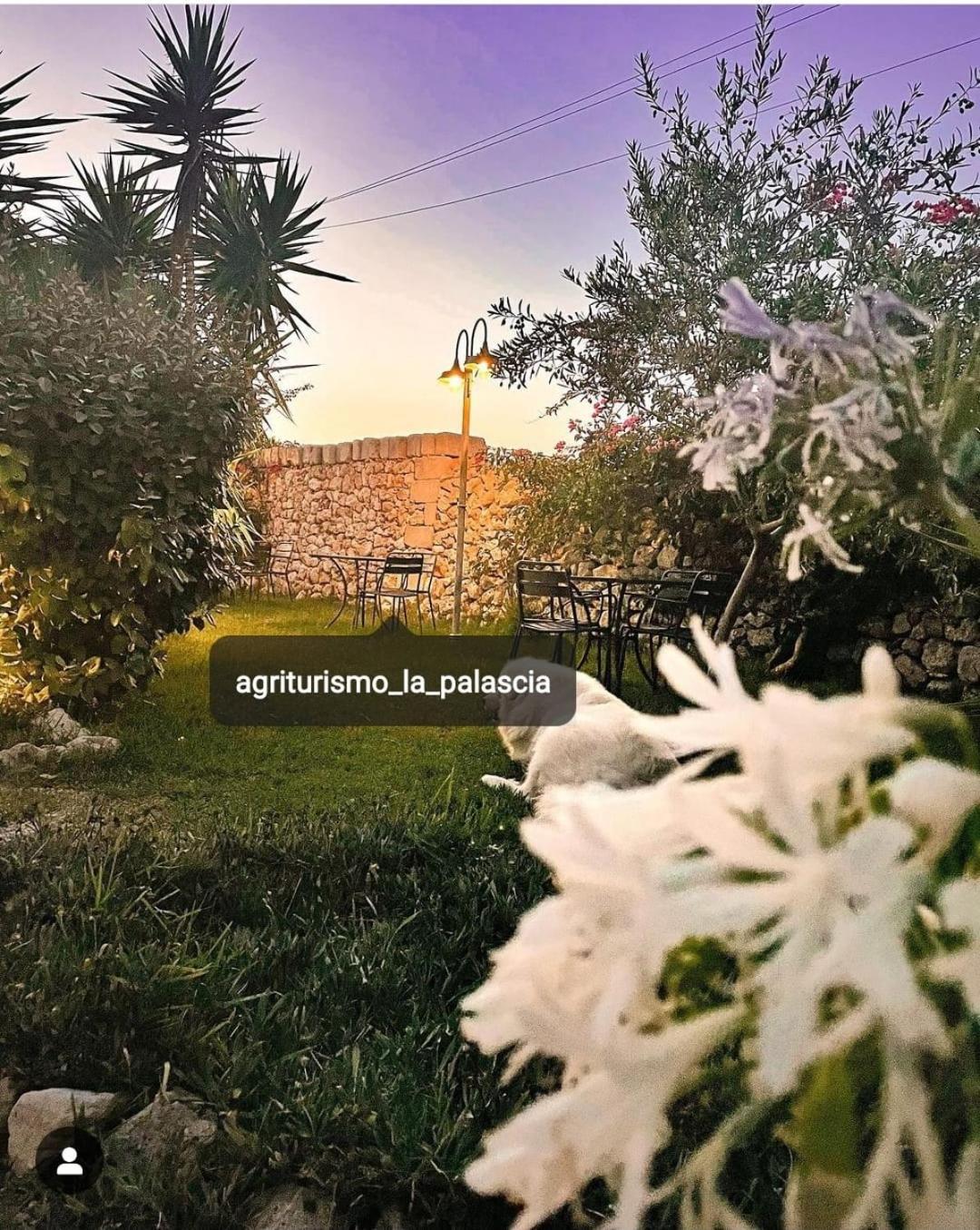 Agriturismo La Palascia Masseria Agreste โอตรันโต ภายนอก รูปภาพ