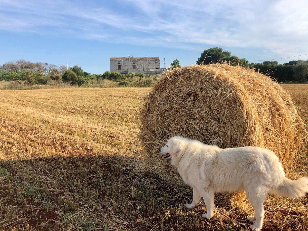 Agriturismo La Palascia Masseria Agreste โอตรันโต ภายนอก รูปภาพ