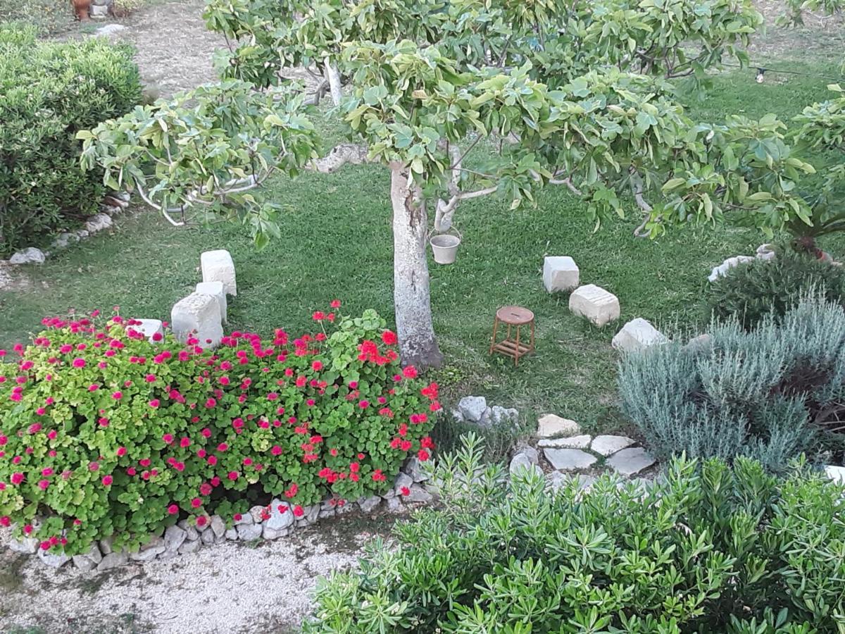Agriturismo La Palascia Masseria Agreste โอตรันโต ภายนอก รูปภาพ
